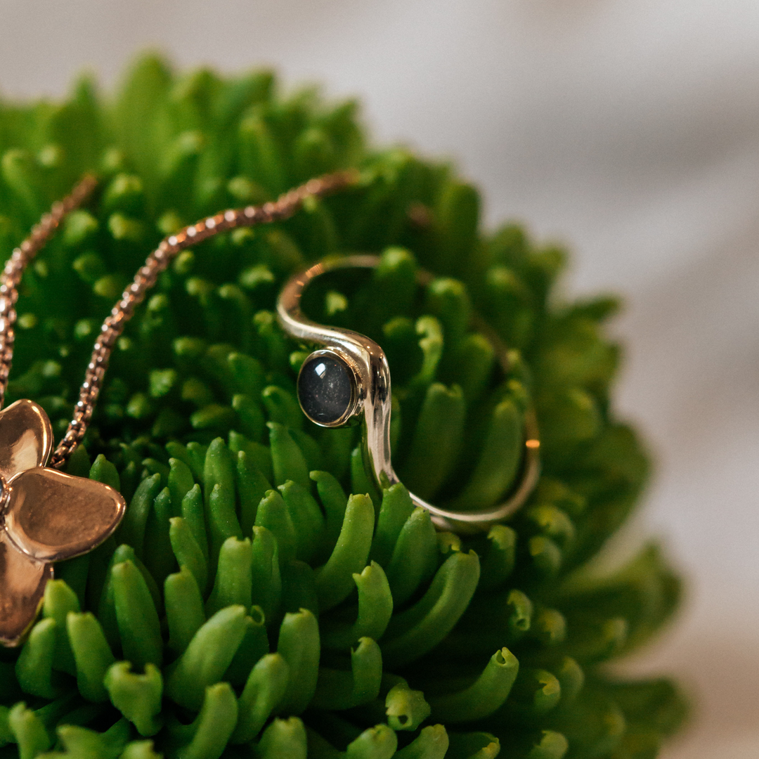 This stylized photo shows the 14K Yellow Gold Chevron Circle Ashes Ring by close by me jewelry in the leaves of a green plant