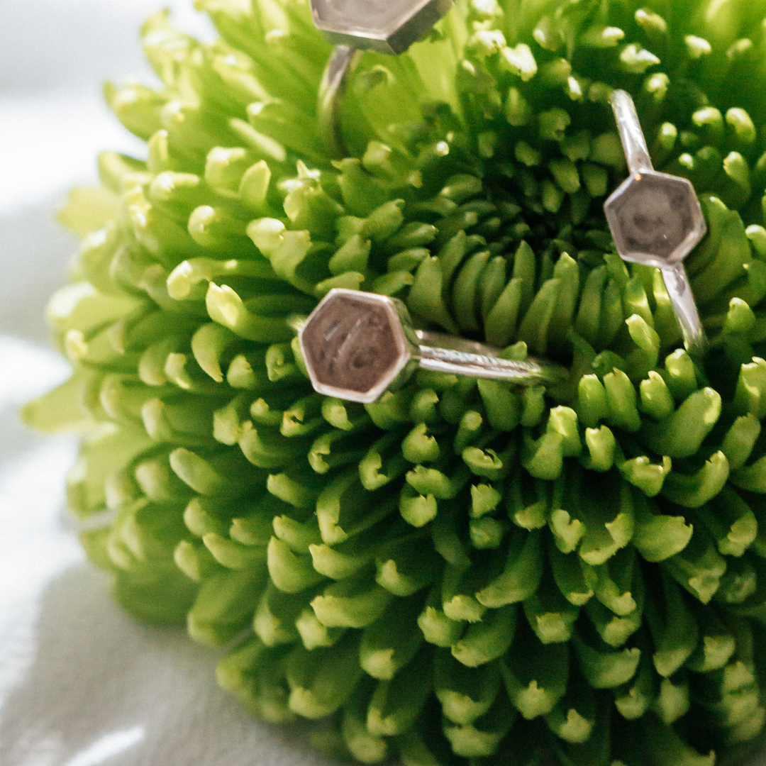 This photo shows all three sizes of the Hexagon Cremation Stacking Ring design by close by me jewelry in Sterling Silver in the leaves of a small green plant