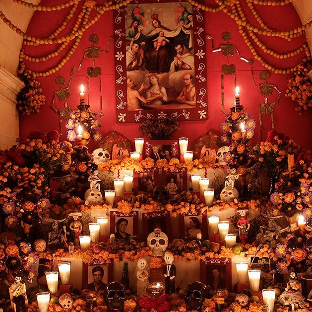 Cultural Spotlight - Dia de Muertos (