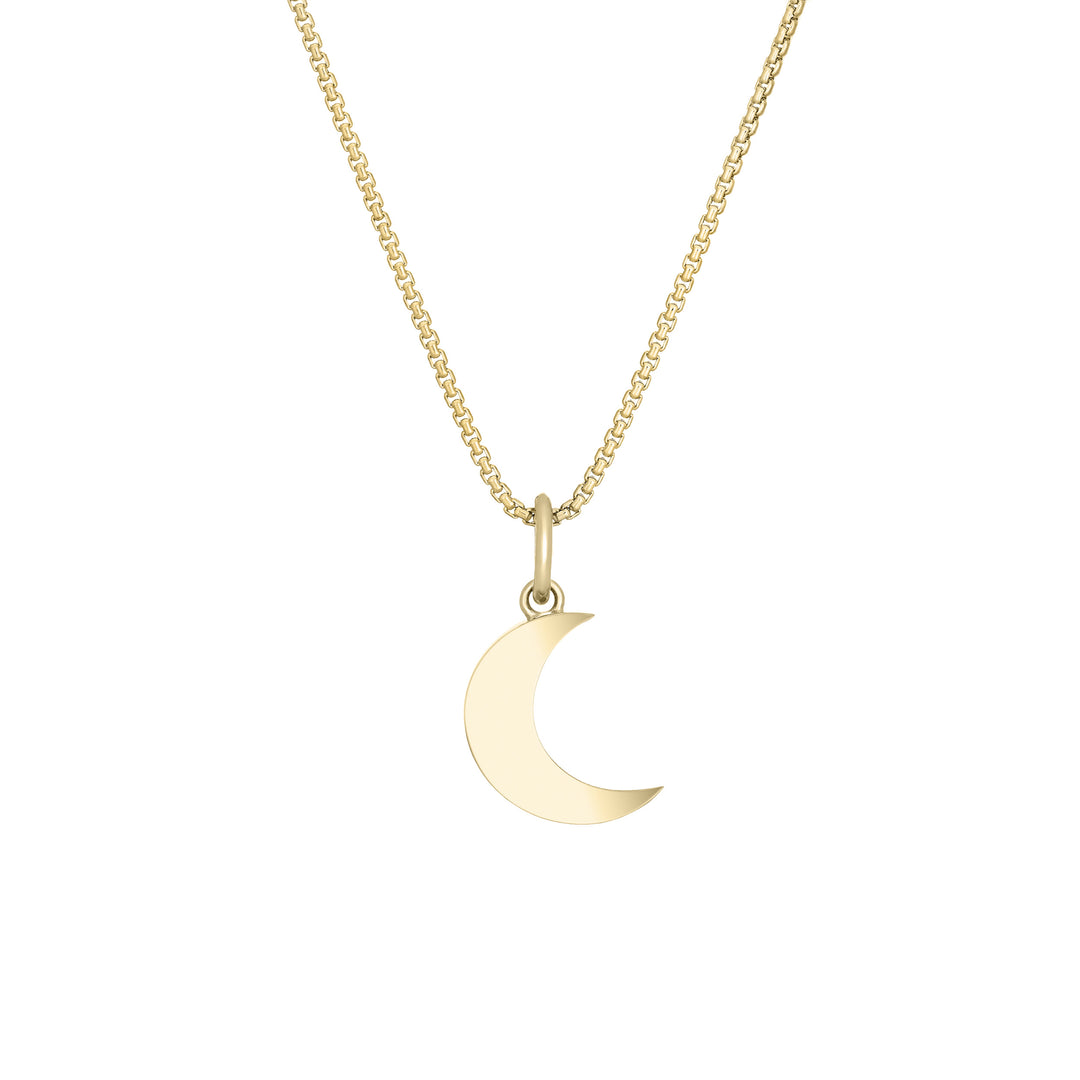 Dainty Crescent Moon Cremation Necklace in 14K Yellow Gold