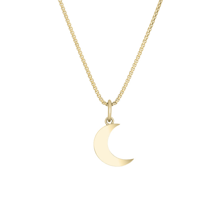 Dainty Crescent Moon Cremation Necklace in 14K Yellow Gold