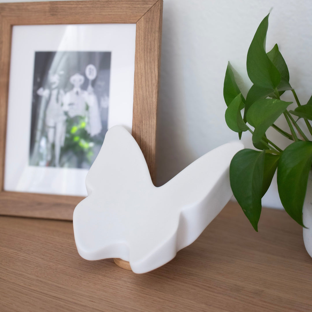 Close By Me's Ceramic Butterfly Urn on a shelf between a framed photo and potted plant.