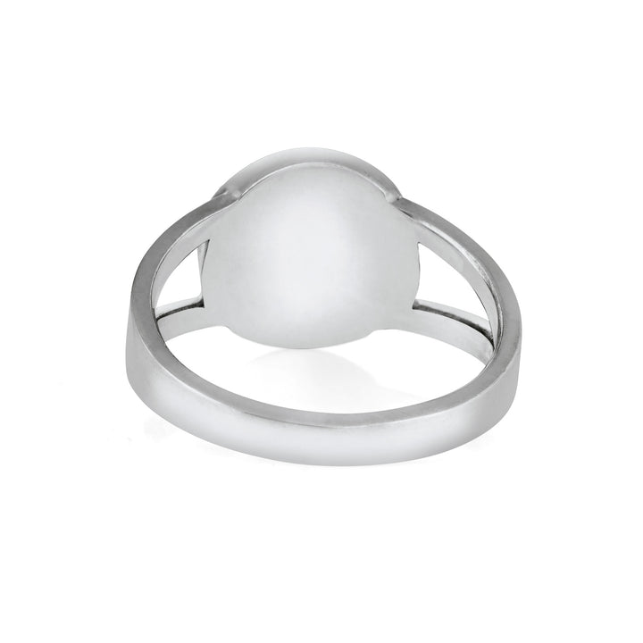 Circle Split Shank Cremation Ring in 14K White Gold