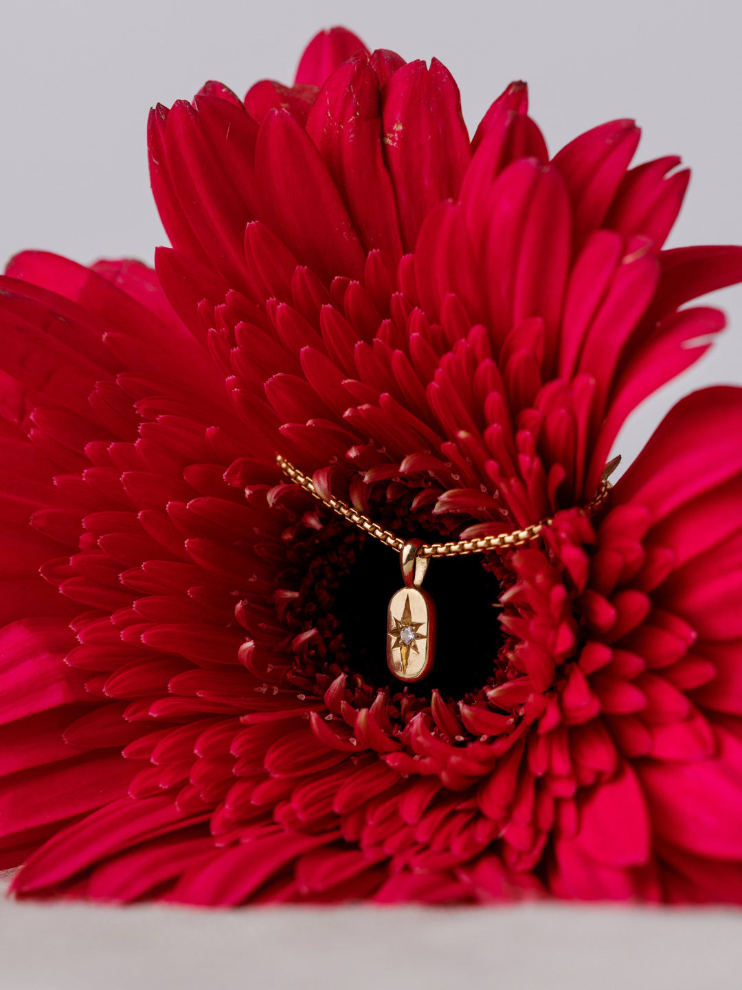 The Guidance Birthstone Charm from Close By Me in 14k yellow gold hangs from a red flower.
