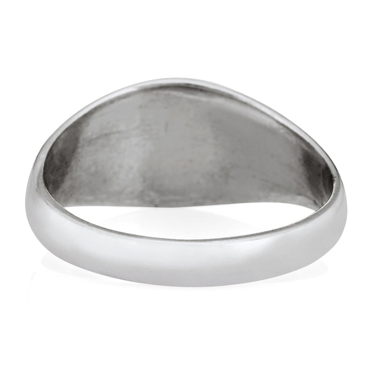 This photo shows close by me jewelry's Men's Lateral Oval Signet Ring design in 14K White Gold from the back
