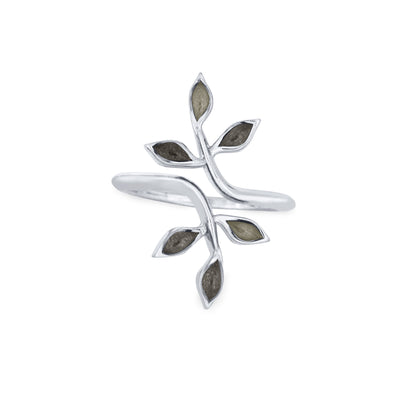 Pictured here is close by me jewelry's 14K White Gold Olive Branch Ashes Ring from the front to show its multicolored ashes settings